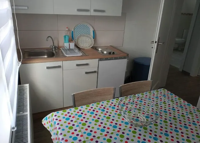 S.scholz * ヴェルニゲローデ